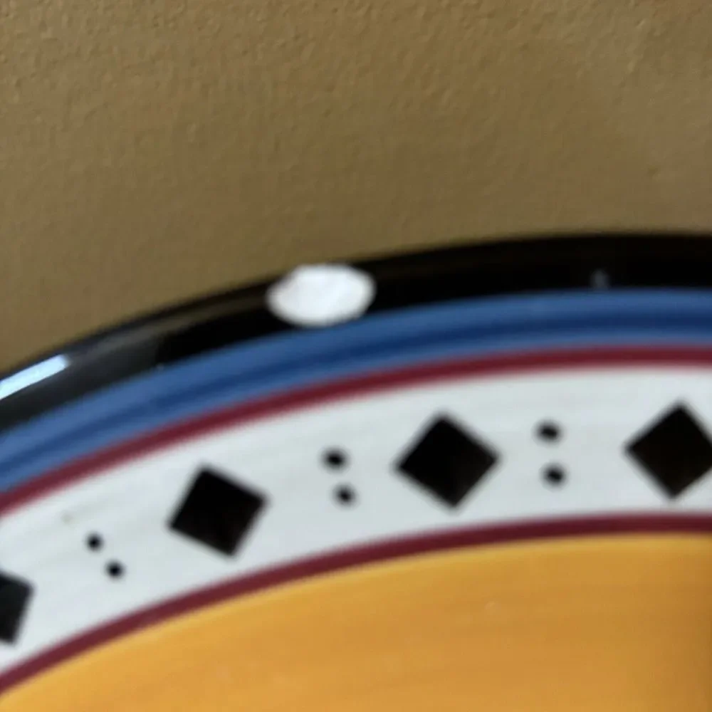 Pier 1 Dinner Plates 